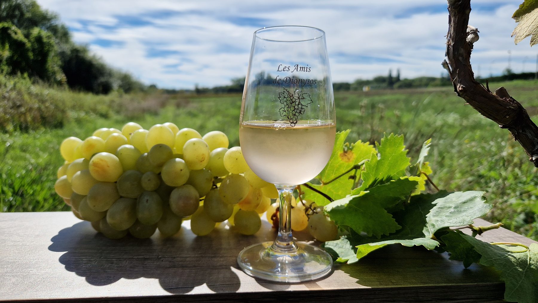 Le verre de dégustation du club, gravé à son nom, à côté d'une grappe de raisin blanc