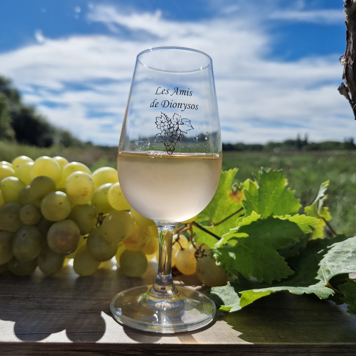 Le verre INAO de l'association, gravé à son nom